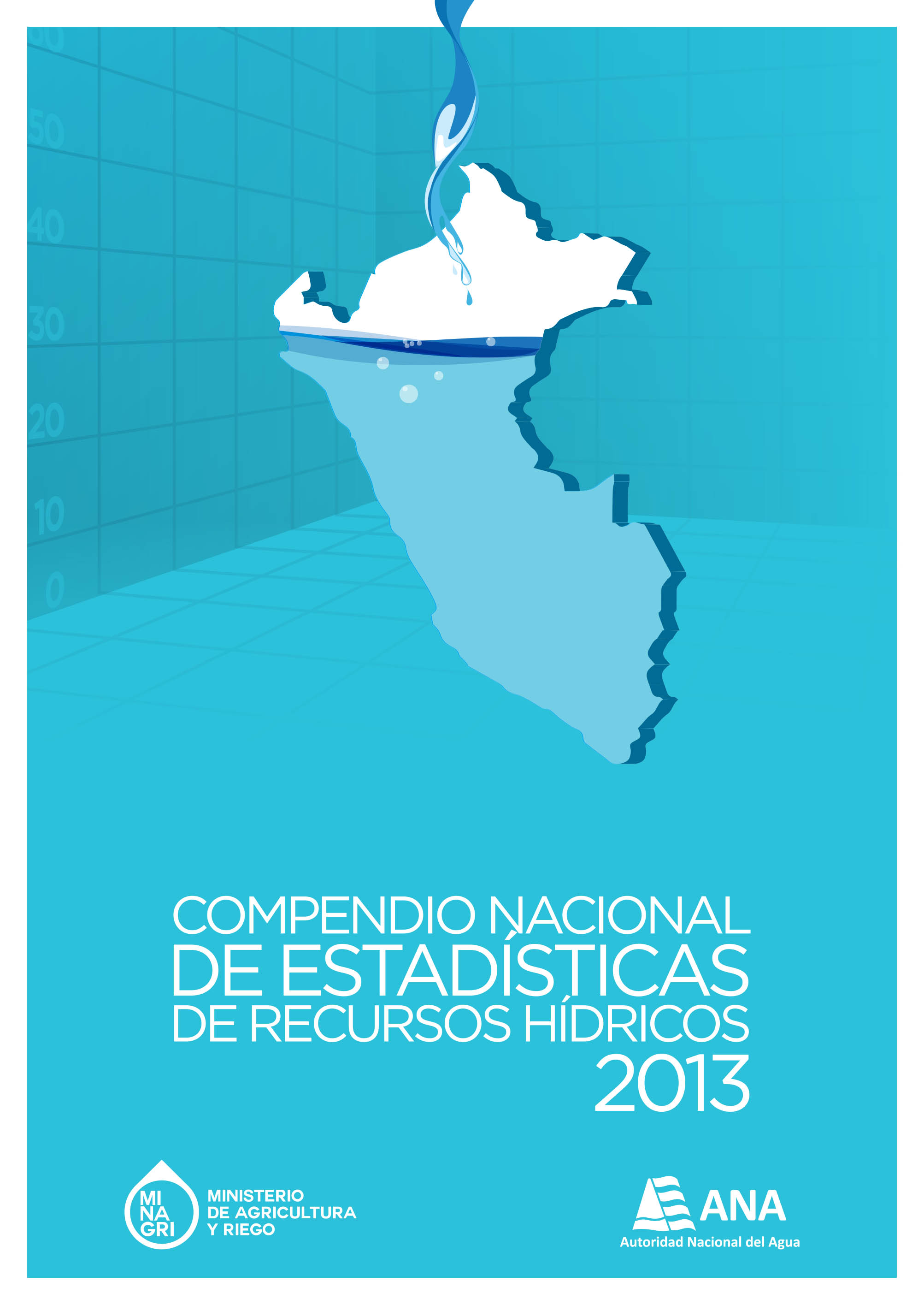 COMPENDIO NACIONAL ESTADISTICAS DE RECURSOS HÍDRICOS 2013